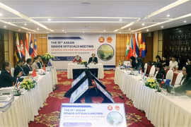 Efectúan reunión de ASEAN sobre bienestar social en provincia vietnamita