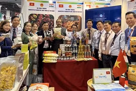 Vietnam e India discuten medidas para impulsar cooperación económica