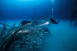 Último cable submarino de Internet entre Vietnam y el mundo se rompe