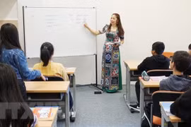 Siguen mejorando eficacia de enseñanza de idioma vietnamita en el extranjero