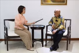Vietnam logra éxitos gracias a la “diplomacia de bambú”, evalúa experto indonesio