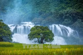 Inauguran Festival de Cascada de Ban Gioc 2023