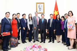 Vietnam y Japón fomentan cooperación en proyectos de energía limpia y renovable
