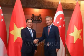 Vietnam y Singapur consolidan asociación estratégica
