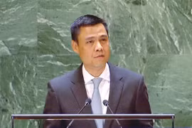 Vietnam apoya implementación del Marco de Acción de Sendai 