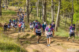 Efectuarán maratón internacional en localidad vietnamita 