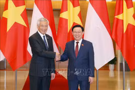 Singapur dispuesto a apoyar a Vietnam en desarrollo de energía renovable