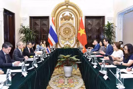 Vietnam y Tailandia efectúan su novena Consulta Política 