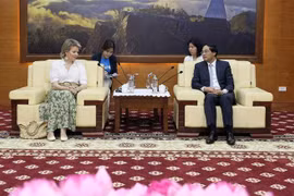 Provincia vietnamita desea recibir más asistencia de UNICEF
