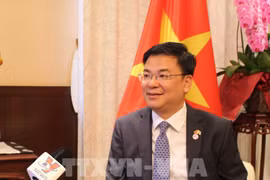 Queda amplio margen para lazos Vietnam-Japón, según diplomáticos y estudiosos