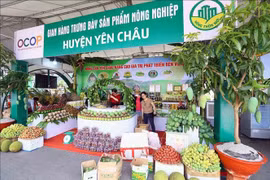 Vietnam organizará casi 300 actividades de promoción comercial en 2023