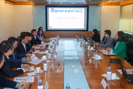 Vietnam y Singapur por promover cooperación en auditoría