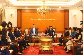 Empresas europeas estudian entorno de inversión en provincia vietnamita 