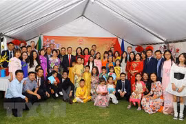 Comunidad vietnamita en exterior celebra Año Nuevo Lunar