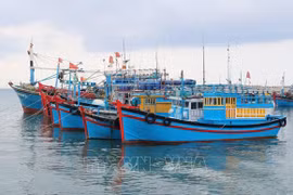 Vietnam por combatir IUU y lograr el levantamiento de “tarjeta amarilla”