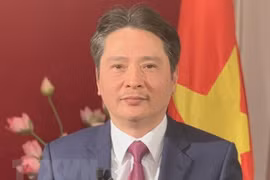 Vietnam y Argelia ratifican voluntad de mejorar nexos bilaterales 