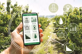 Bac Giang desarrolla nuevas zonas rurales ligadas con transformación digital