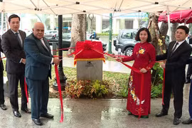 Reinauguran en Hanoi parque-jardín símbolo de relaciones Vietnam-Cuba