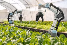 Vietnam por elevar contribución de tecnología e innovación al crecimiento agrícola