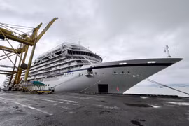 Ciudad de Da Nang recibe a turistas internacionales en cruceros 