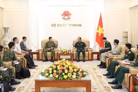 Promueven cooperación Vietnam-Japón en misiones de paz