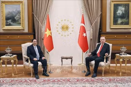 Turquía concede importancia al desarrollo de nexos con Vietnam, afirma presidente