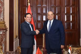 Vicepremier vietnamita se reúne con dirigentes parlamentarios de Egipto