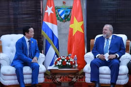Resaltan Vietnam y Cuba relaciones históricas