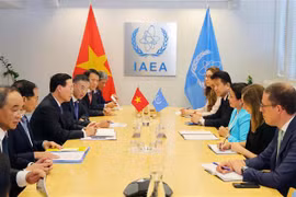 Vietnam participará activamente en proyectos de OIEA, afirma presidente