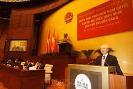 Erudito japonés evalúa identidad de “diplomacia de bambú” de Vietnam