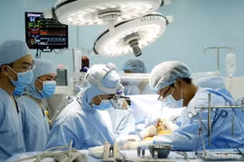 Enaltecen a médicos destacados en Ciudad Ho Chi Minh
