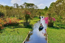 Localidad vietnamita empeñada en convertirse en destino turístico atractivo
