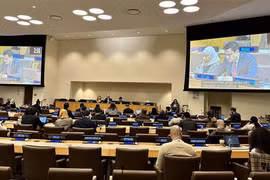 Vietnam respalda promoción de cooperación internacional en derechos humanos