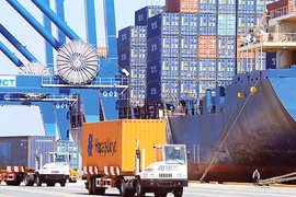 Empresas de Vietnam promueven la logística verde