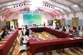 Busca Vietnam promover crédito verde para desarrollo sostenible