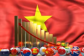 Vietnam - "Estrella en ascenso" en mercados emergentes