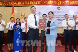 Empresa china invierte 500 millones de USD en producción de neumáticos en Vietnam