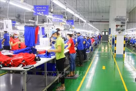 Vietnam y Singapur fomentan la cooperación en innovación y emprendimiento