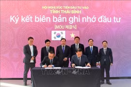 Promueven inversiones de Corea del Sur en la provincia vietnamita de Thai Binh