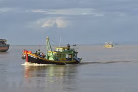 Provincia vietnamita de Binh Thuan refuerza lucha contra pesca ilegal 