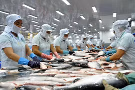 Empresas vietnamitas aprovechan subproductos del pescado Tra