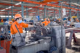 Mayoría de trabajadores vietnamitas regresan a trabajo después del Tet