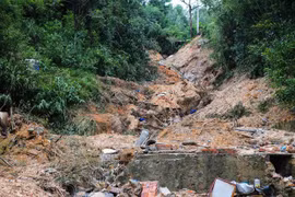 Vietnam mejora alerta temprana de tormentas y lluvias 