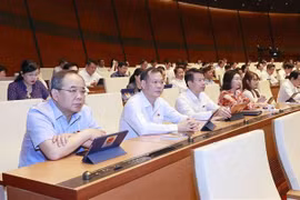 Votantes aprecian dirección eficiente del Gobierno vietnamita en desarrollo socioeconómico
