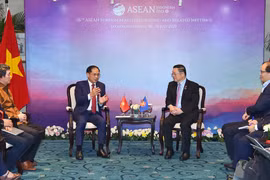 Vietnam contribuye activamente al desarrollo de la ASEAN