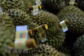 Inauguran Festival de Frutas y Durían de Vietnam en ciudad china de Tianjin