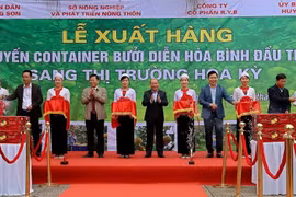 Hoa Binh exporta el primer lote de pomelos a Estados Unidos