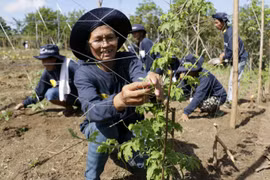 Filipinas y BM firman acuerdo para modernización de la agricultura