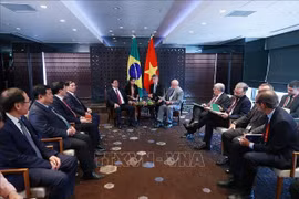 Premier de Vietnam se reúne con presidentes de Brasil y Ucrania