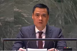 Vietnam dispuesto a sumarse a esfuerzos de buscar solución pacífica al conficto Hamás-Israel